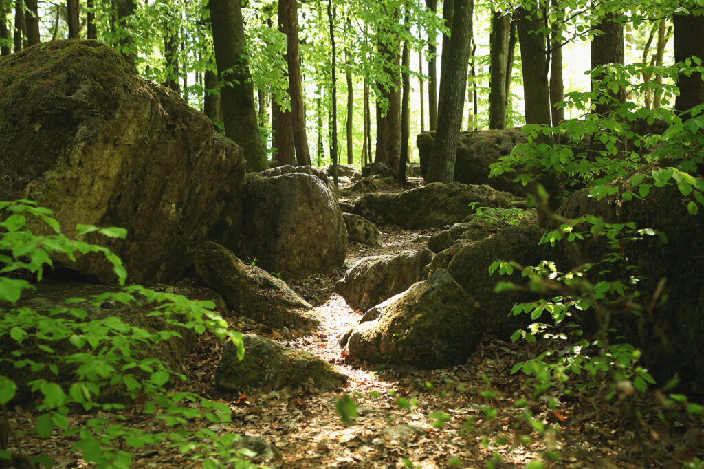 Druidenhain Felslabyrinth Wohlmannsgesees