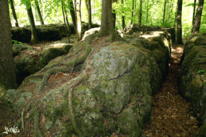 Druidenhain Felslabyrinth Wohlmannsgesees