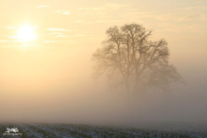 Nebel Trubachtal