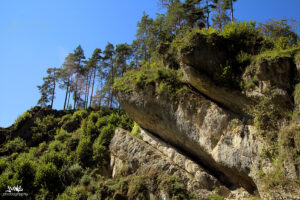Obertrubach Felsen
